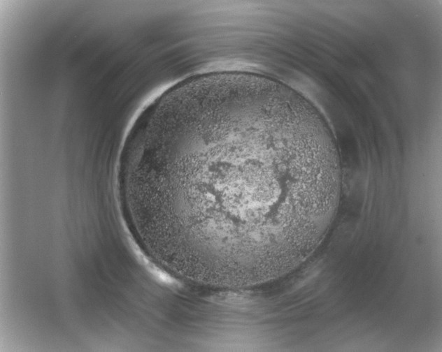 X0000065970995200603031124