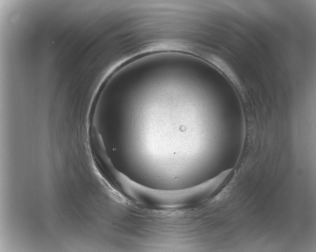 X0000065970996200603031124