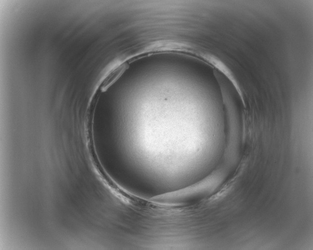 X0000065970997200603031124