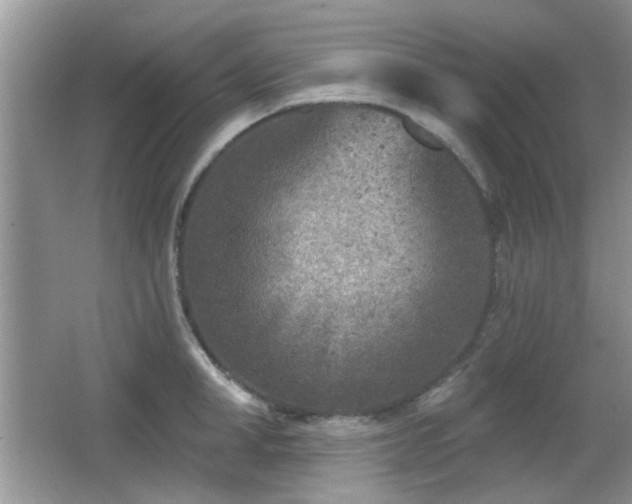 X0000065970998200603031124