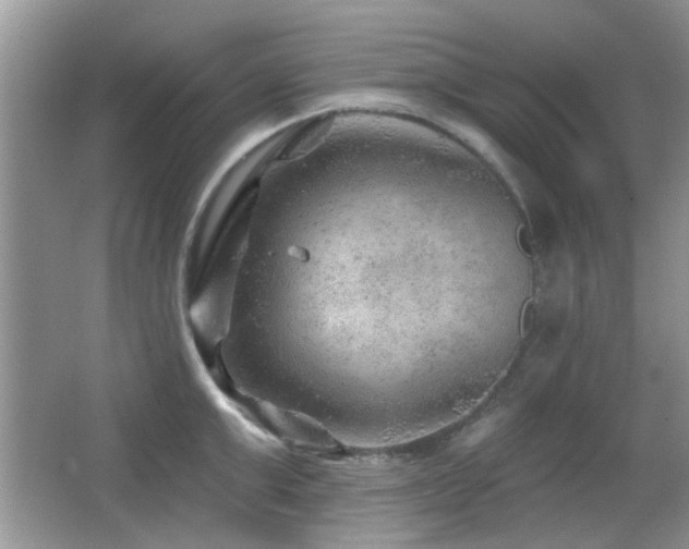 X0000065970999200603031124