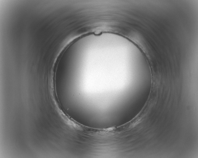 X0000065971000200603031124