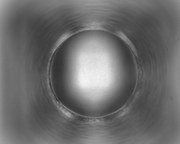 X0000065971002200603031124