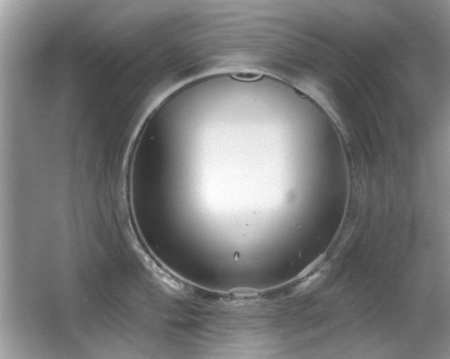 X0000065971004200603031124