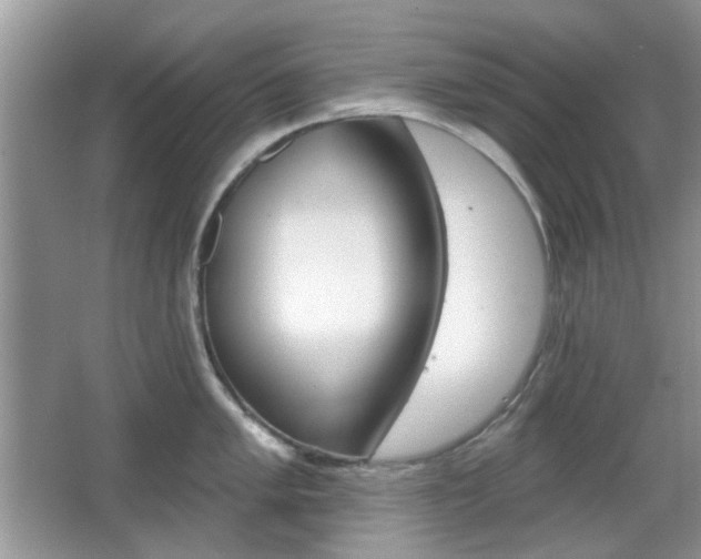 X0000065971005200603031124