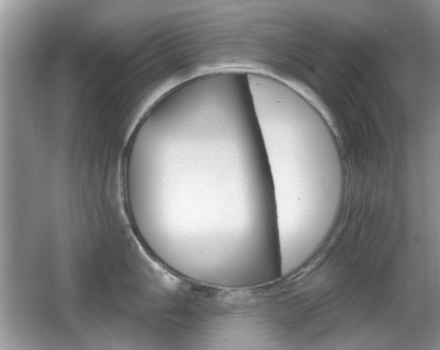 X0000065971006200603031124