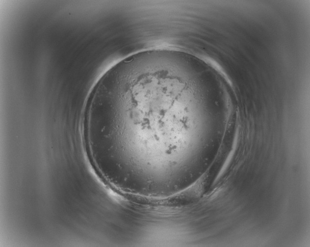 X0000065971007200603031124