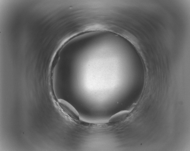 X0000065971008200603031124