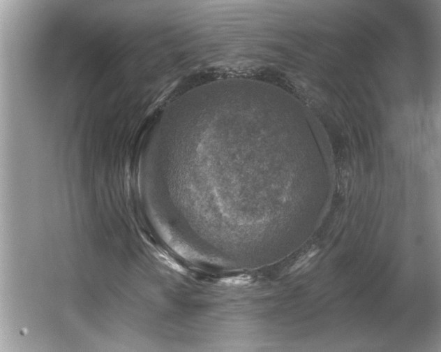 X0000065971010200603031123