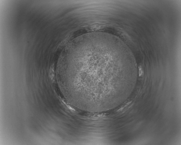 X0000065971011200603031123