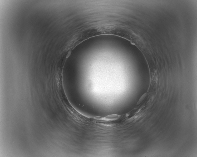 X0000065971012200603031123