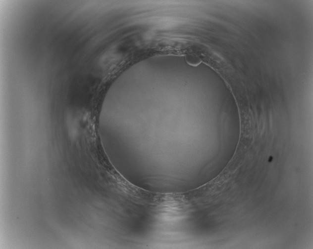 X0000065971013200603031123