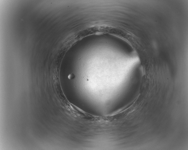 X0000065971014200603031123