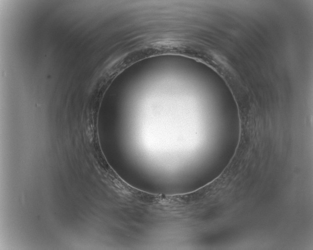 X0000065971015200603031123