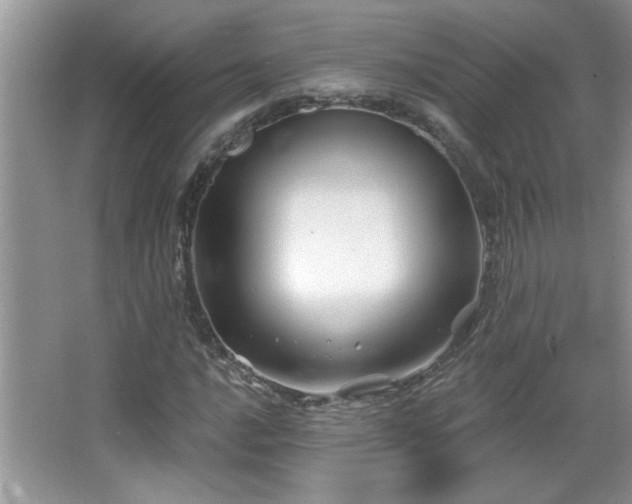 X0000065971016200603031123