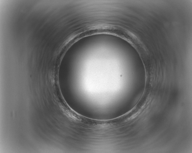 X0000065971017200603031123