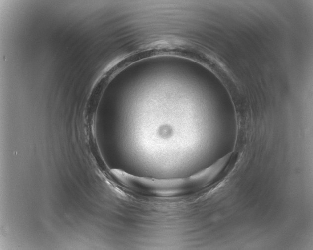 X0000065971018200603031123