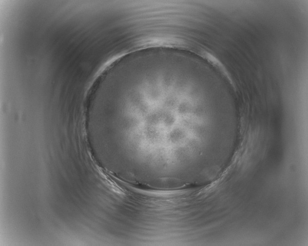 X0000065971019200603031123