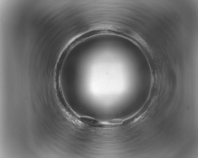 X0000065971020200603031123