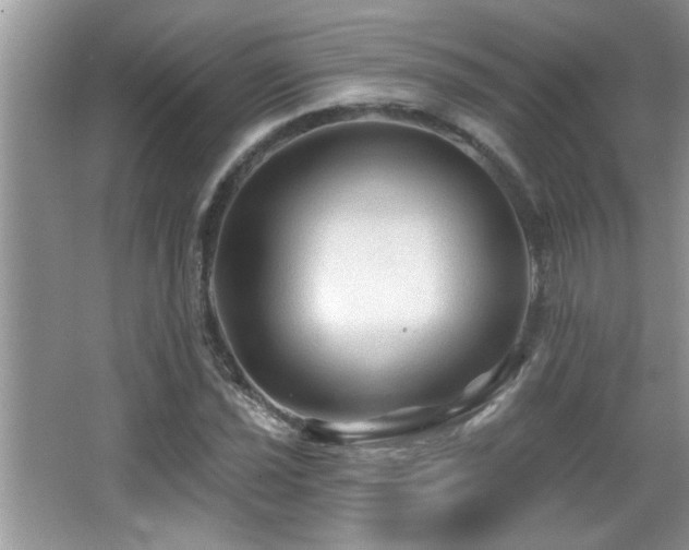 X0000065971021200603031123