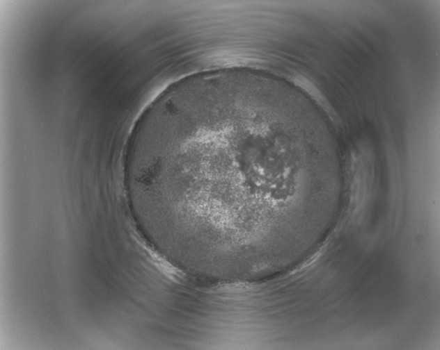 X0000065971023200603031123