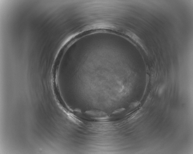 X0000065971024200603031123