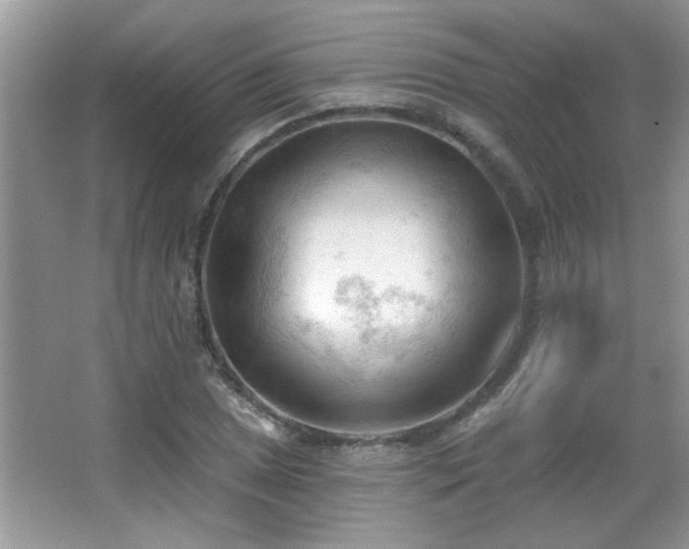 X0000065971025200603031123