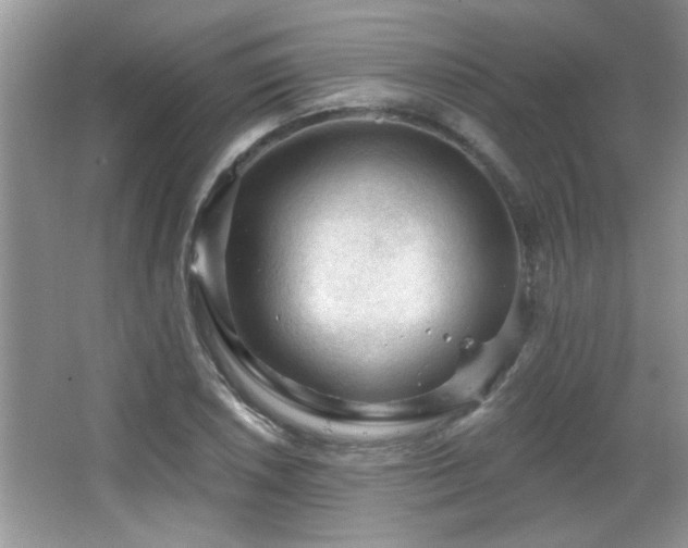 X0000065971026200603031123