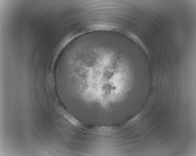 X0000065971027200603031123