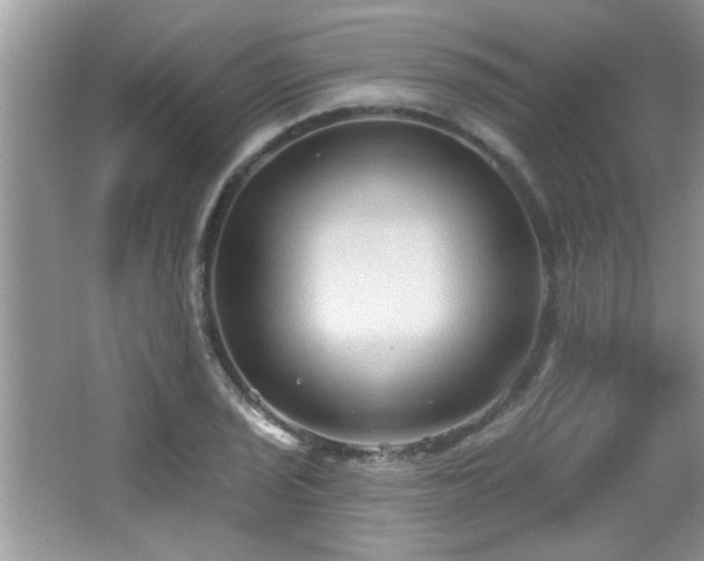 X0000065971029200603031123