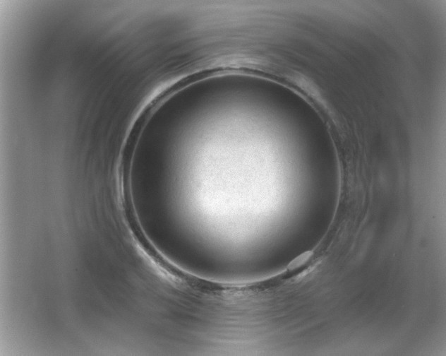 X0000065971032200603031123