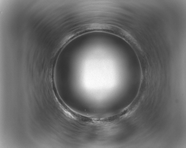 X0000065971033200603031123