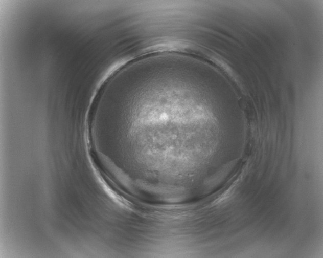 X0000065971034200603031123