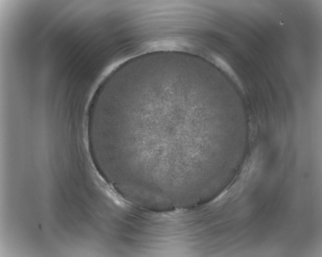 X0000065971035200603031123