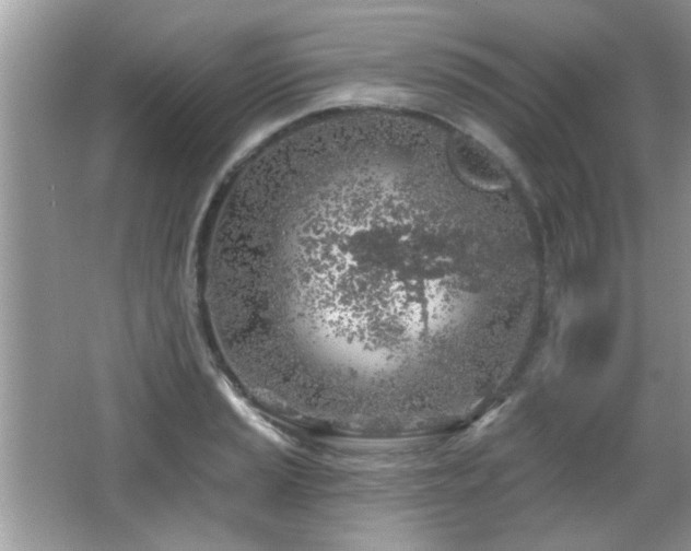 X0000065971037200603031123