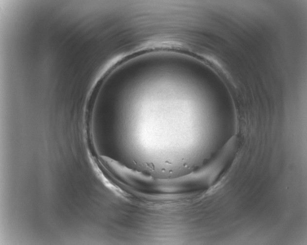 X0000065971038200603031123