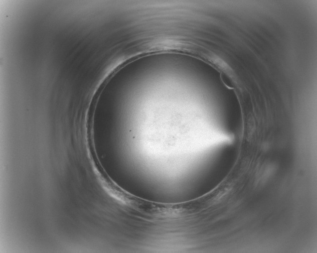 X0000065971039200603031123