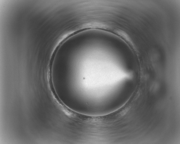 X0000065971040200603031123