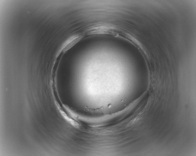 X0000065971042200603031123