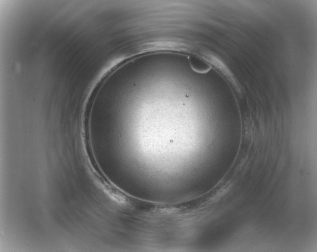 X0000065971043200603031123