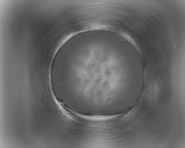 X0000065971047200603031123