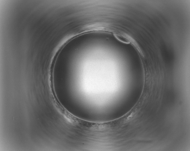 X0000065971051200603031123