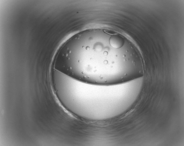 X0000065971053200603031123