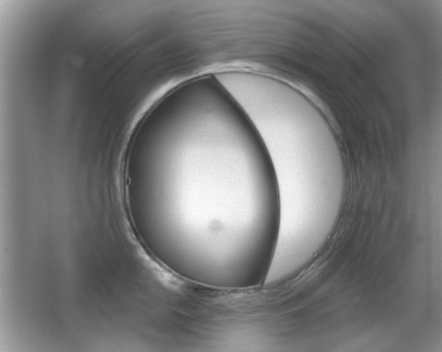 X0000065971054200603031123