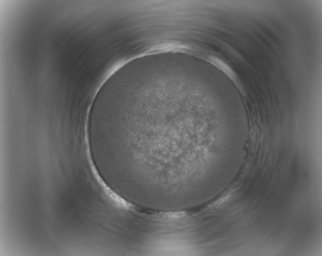 X0000065971055200603031123