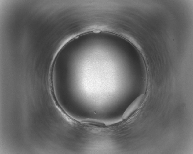 X0000065971056200603031123