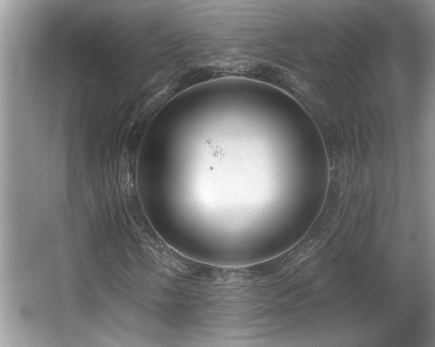 X0000065971058200603031123