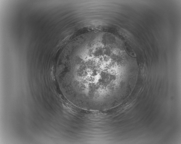 X0000065971060200603031123