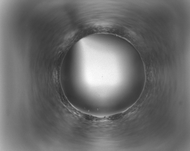 X0000065971061200603031123