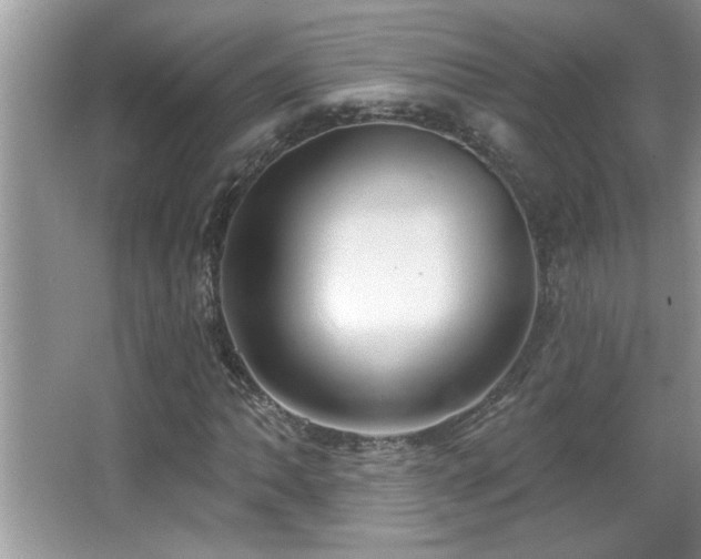 X0000065971062200603031123